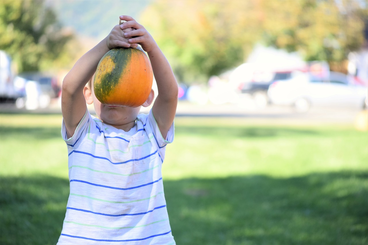 boy pumpkin harvest free photo
