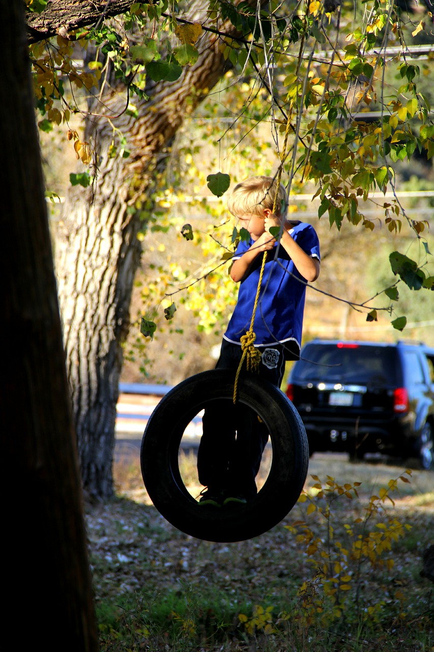 boy tire swing swinging free photo