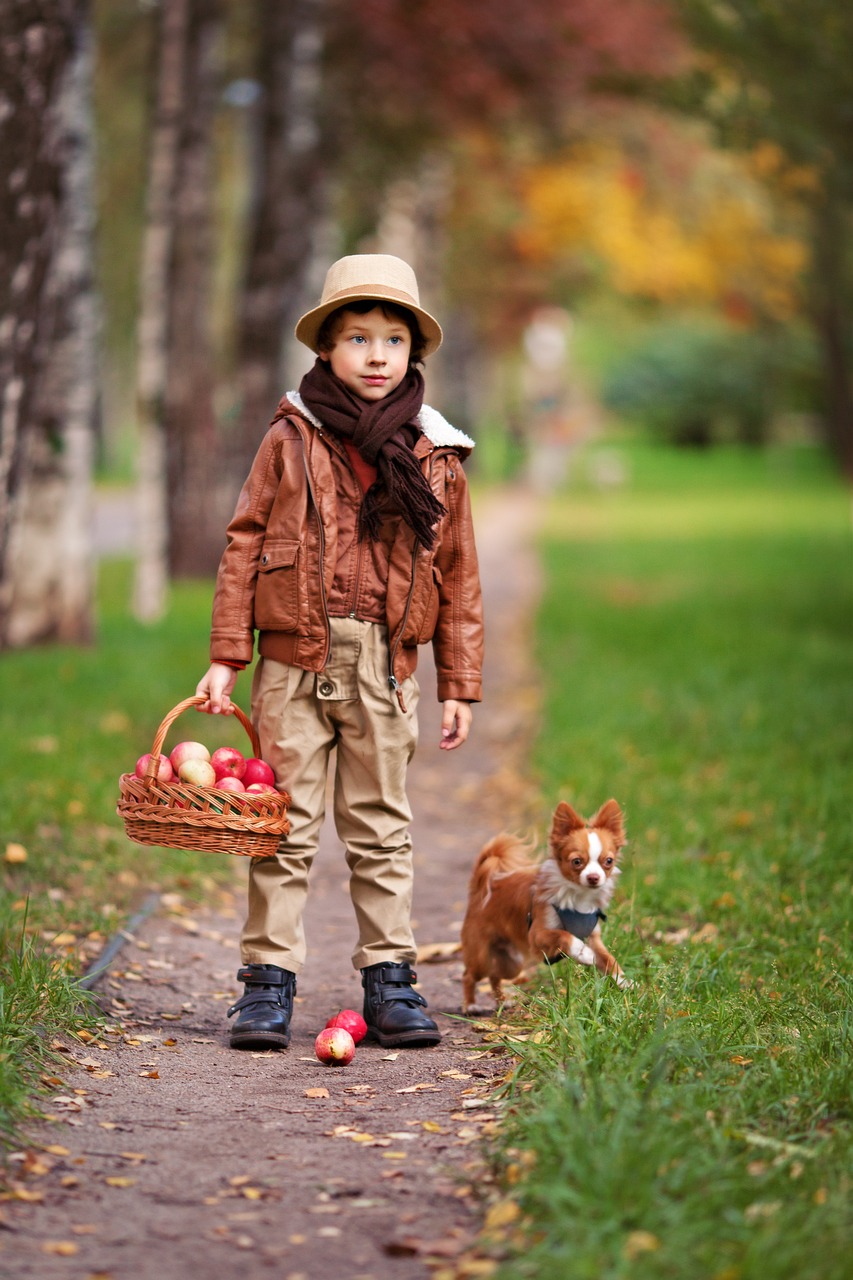 boy forest dog free photo