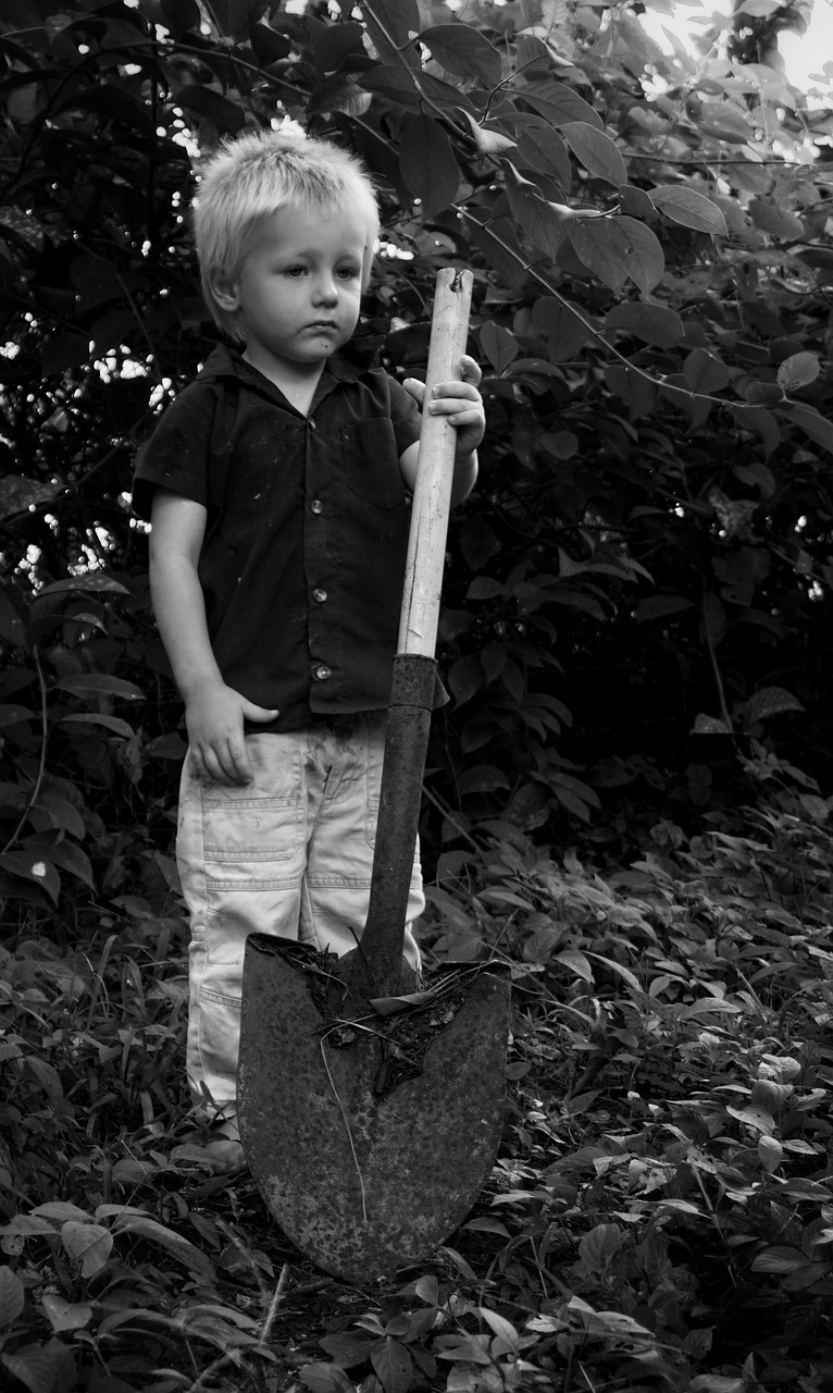 boy childhood working free photo