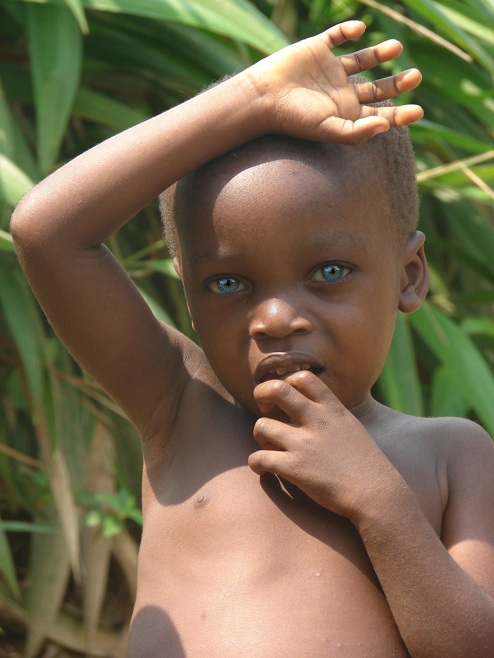 boy blue eyes blue free photo