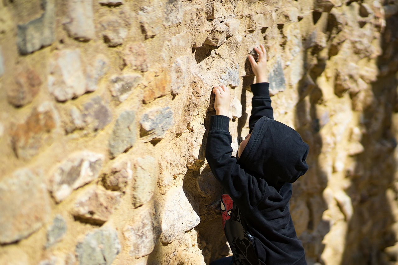 boy climbing reaching free photo