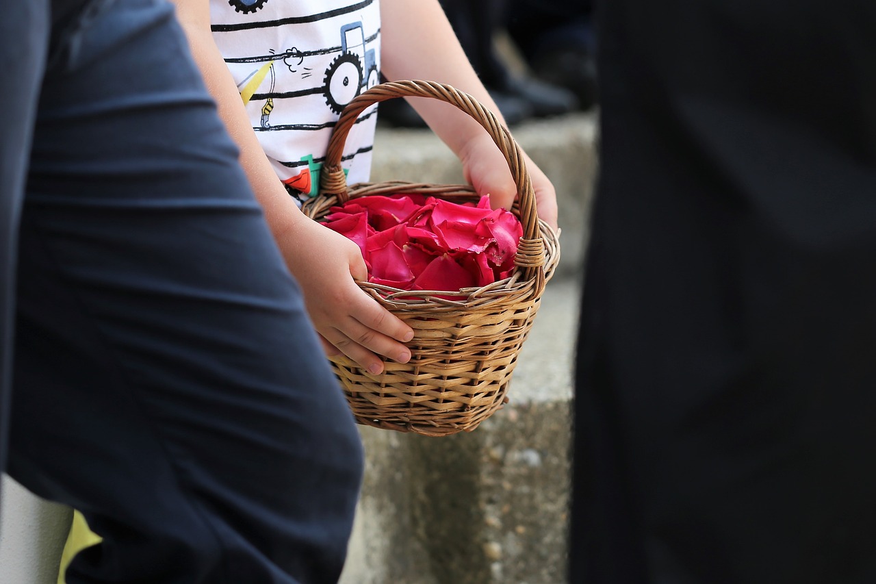 boy  basket with red rose petals  corpus christi feast free photo