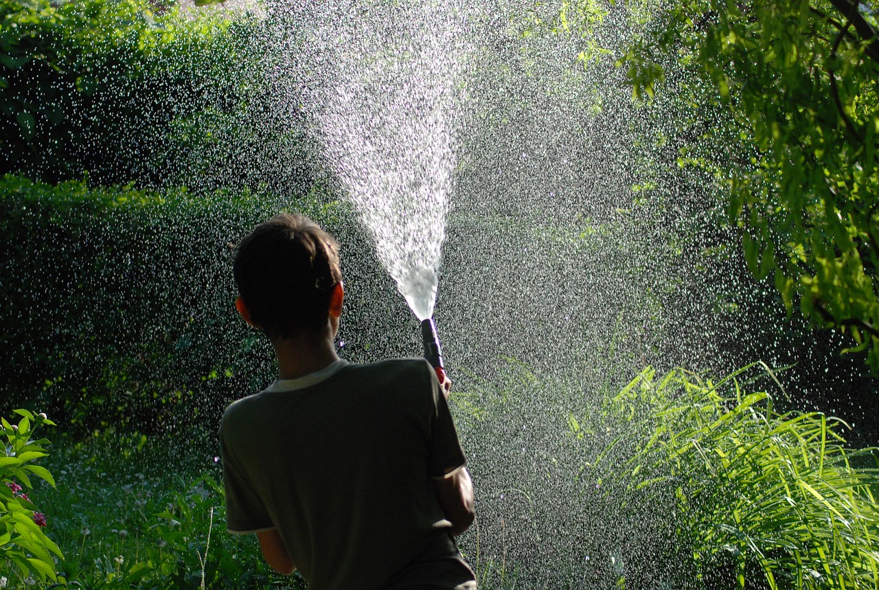 boy  garden  water free photo