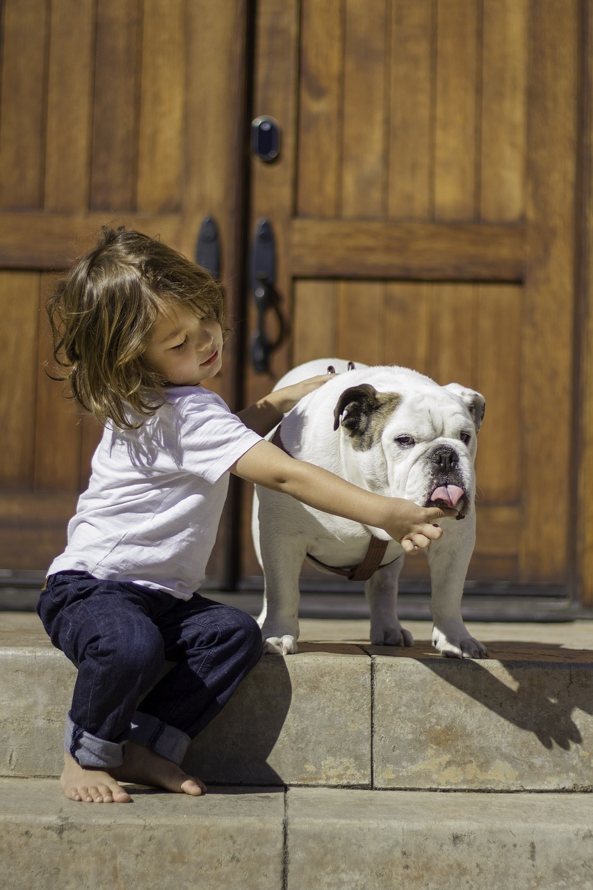 boy  dog  child free photo