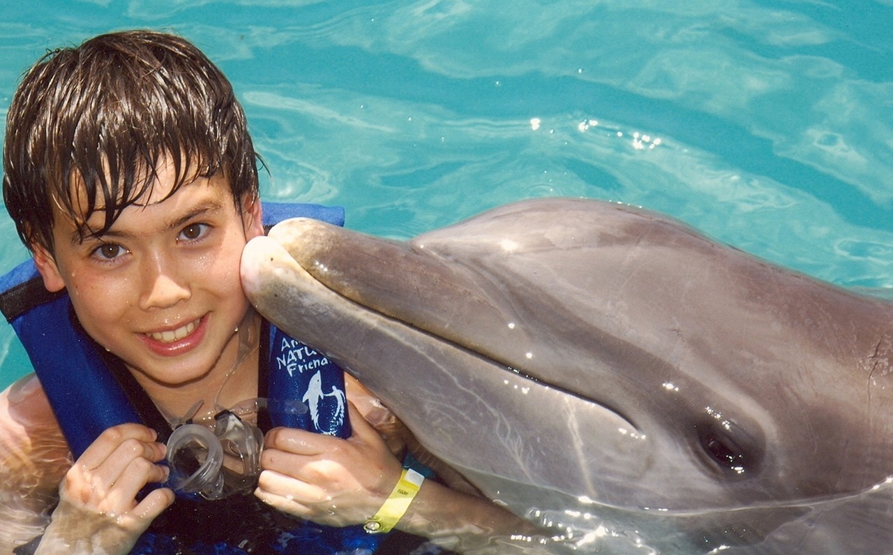 boy  dolphin  louis free photo