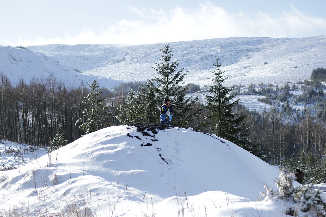 boy  winter  snow free photo