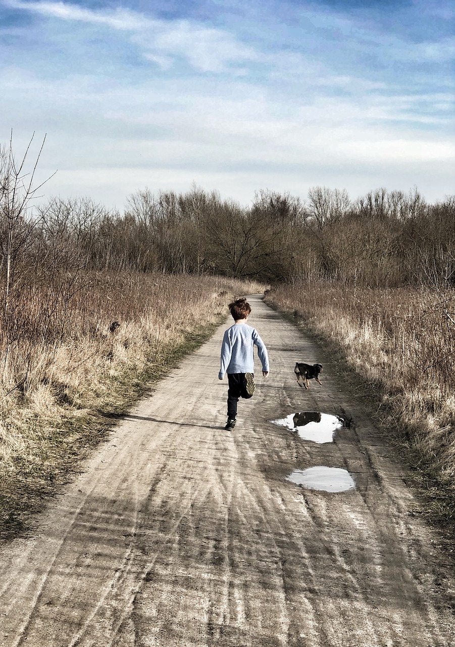 boy  road  child free photo