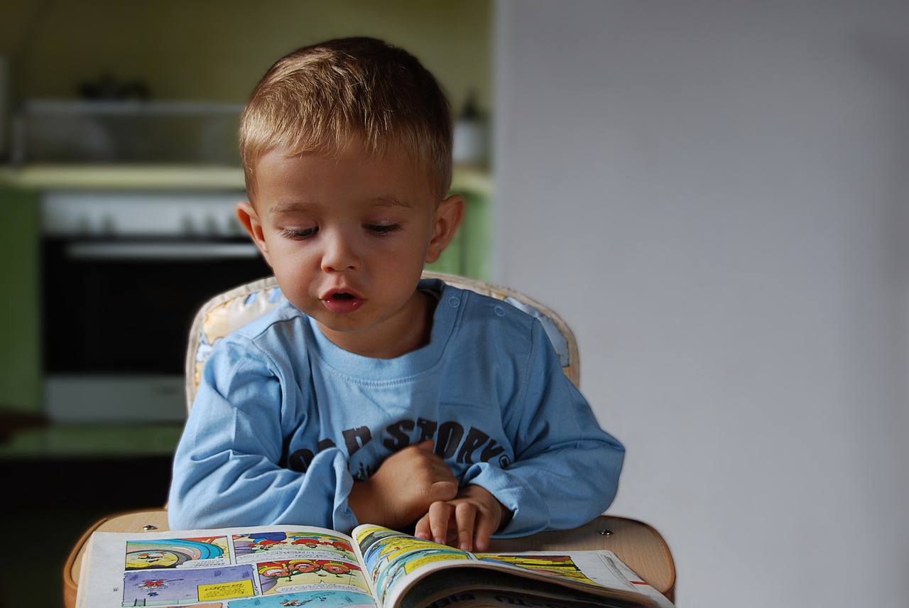 boy  read  small child free photo