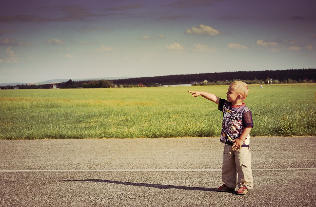 boy child a small child free photo