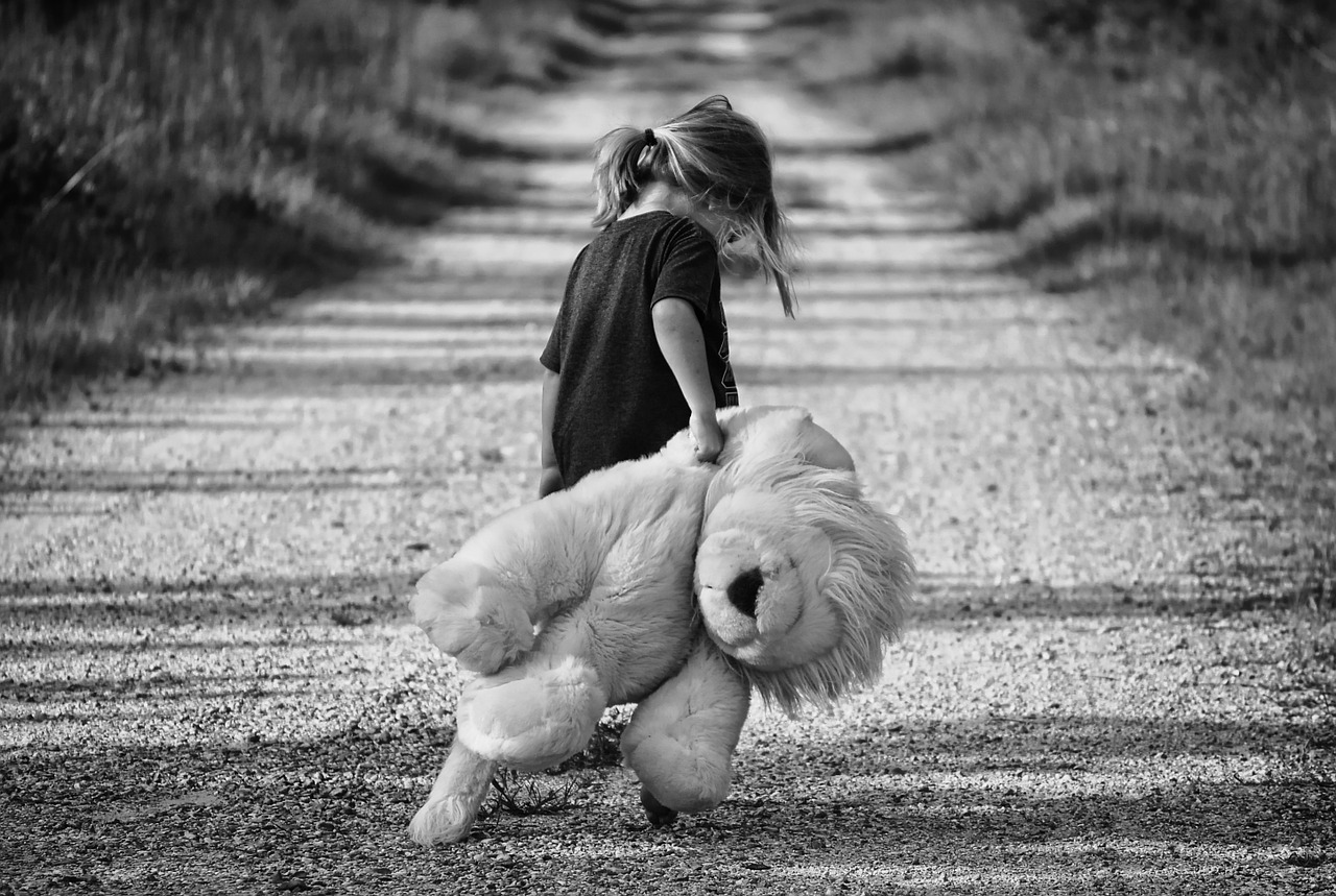 boy walking teddy bear free photo