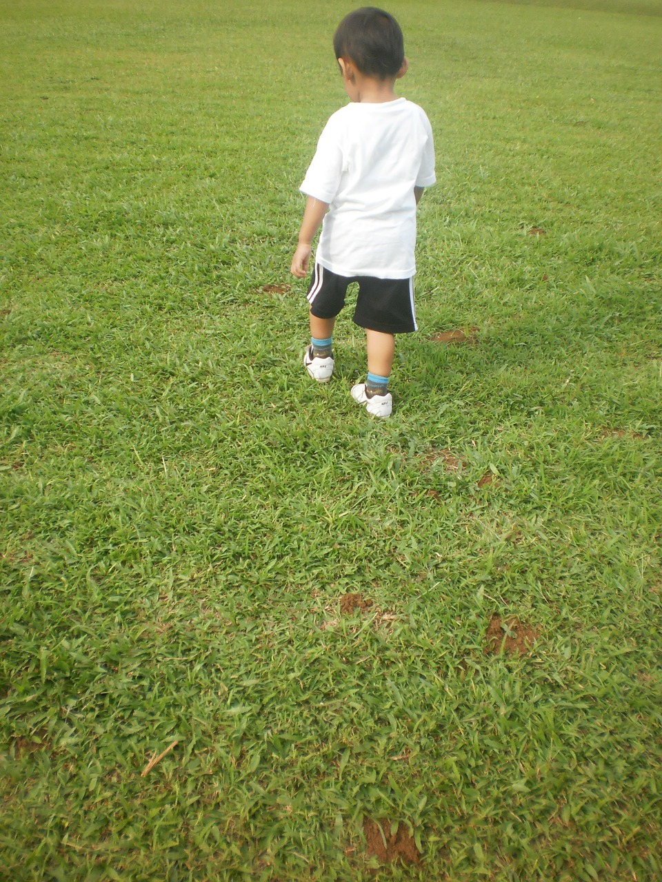 boy walking child free photo