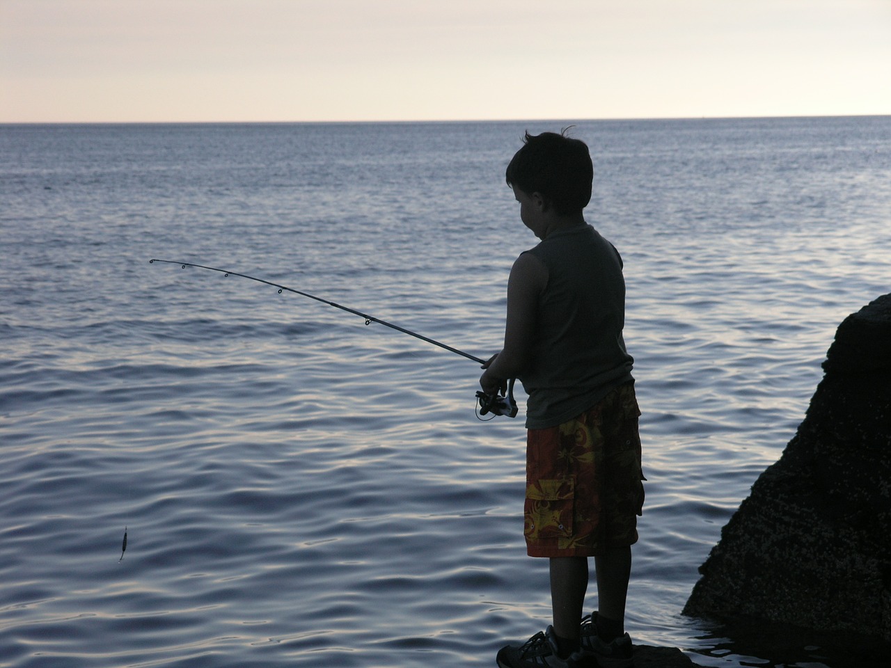 boy fishing male free photo