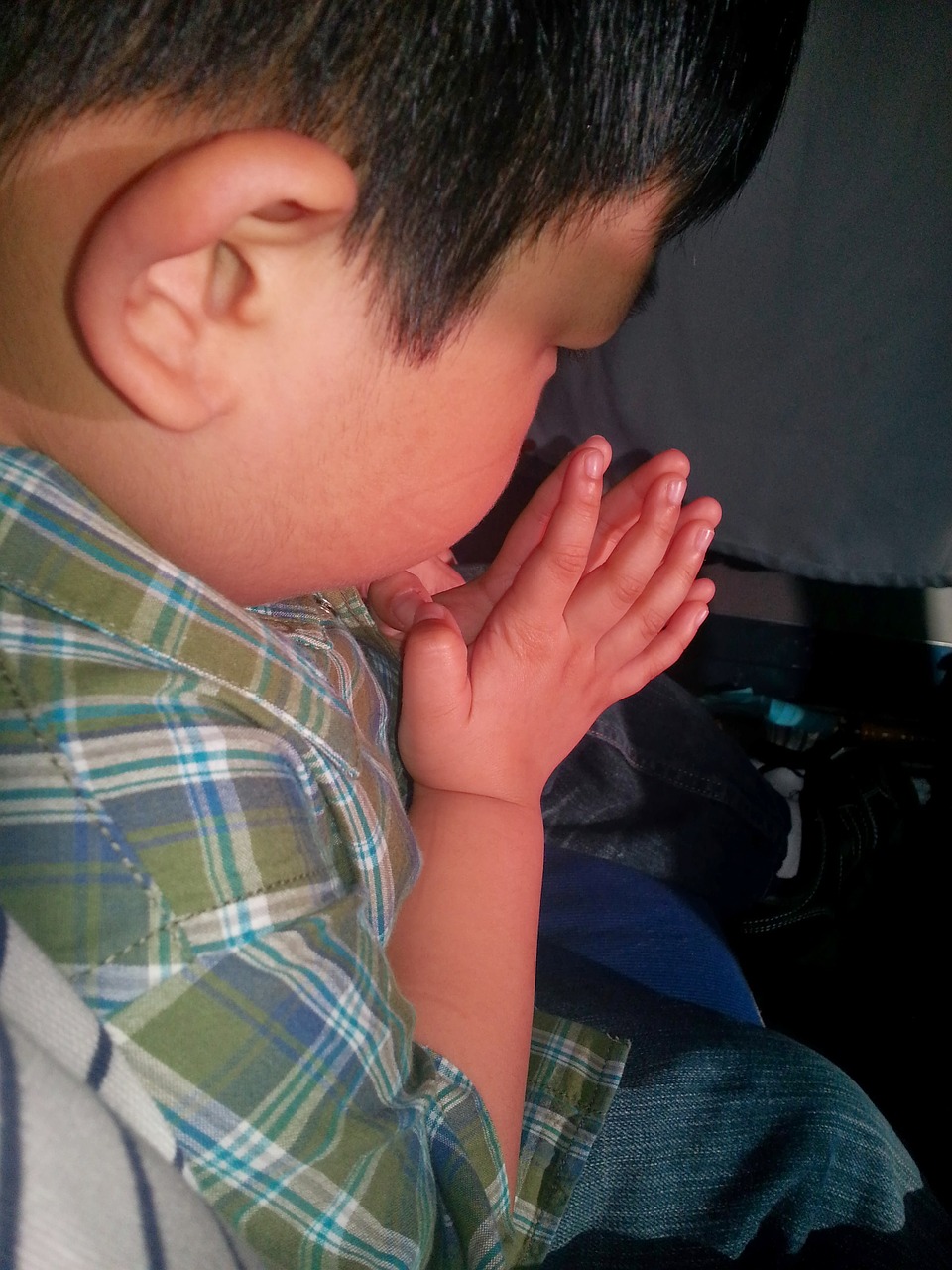 boy young praying free photo