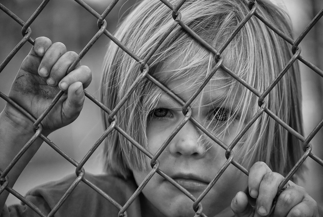 boy looking fence free photo