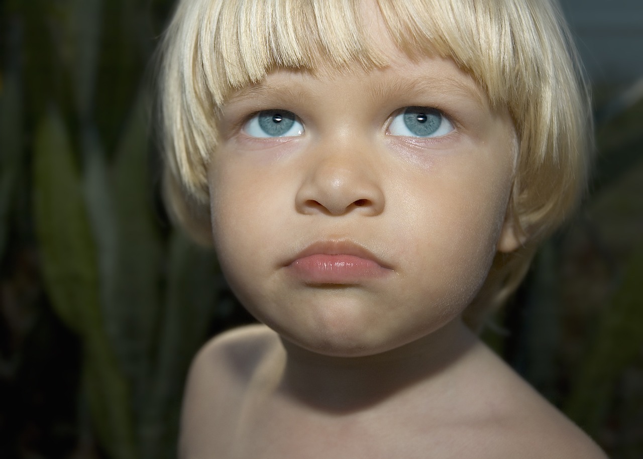 boy child garden free photo