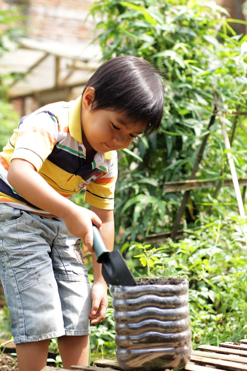 boy planting tomato free photo