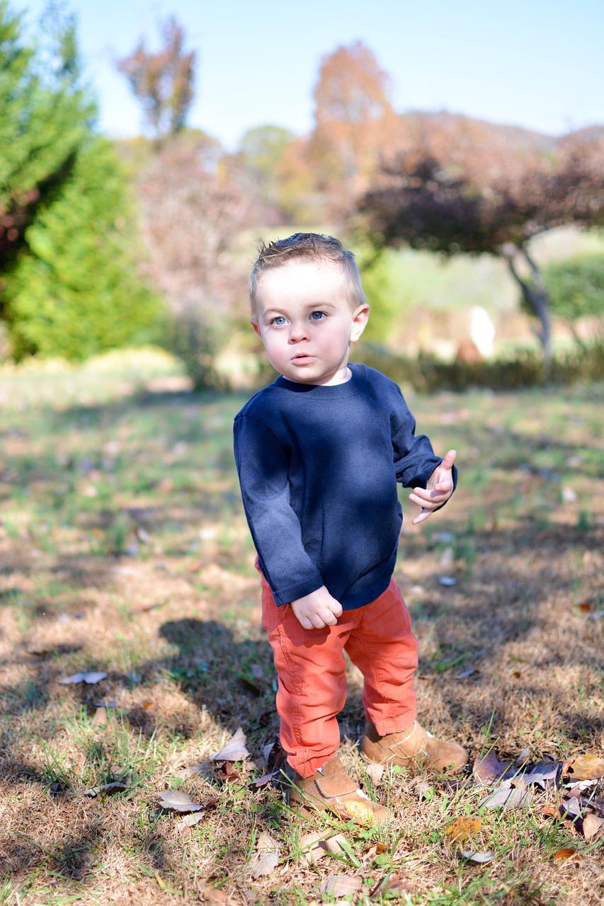 boy toddler cute free photo