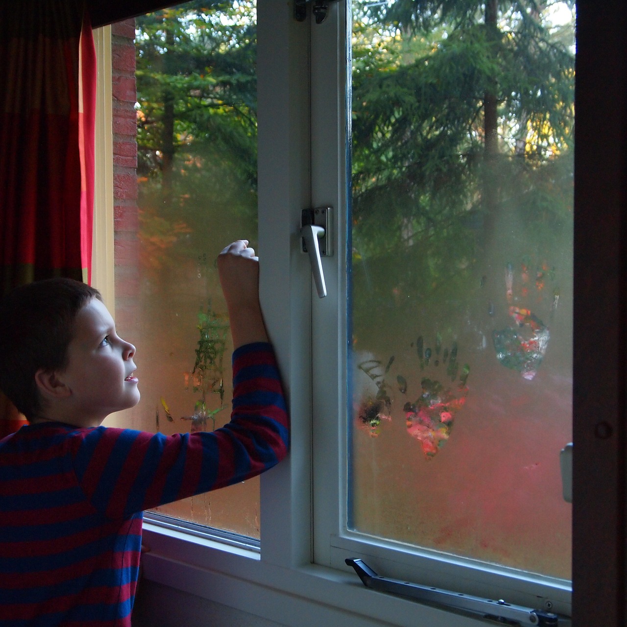 boy signs window free photo