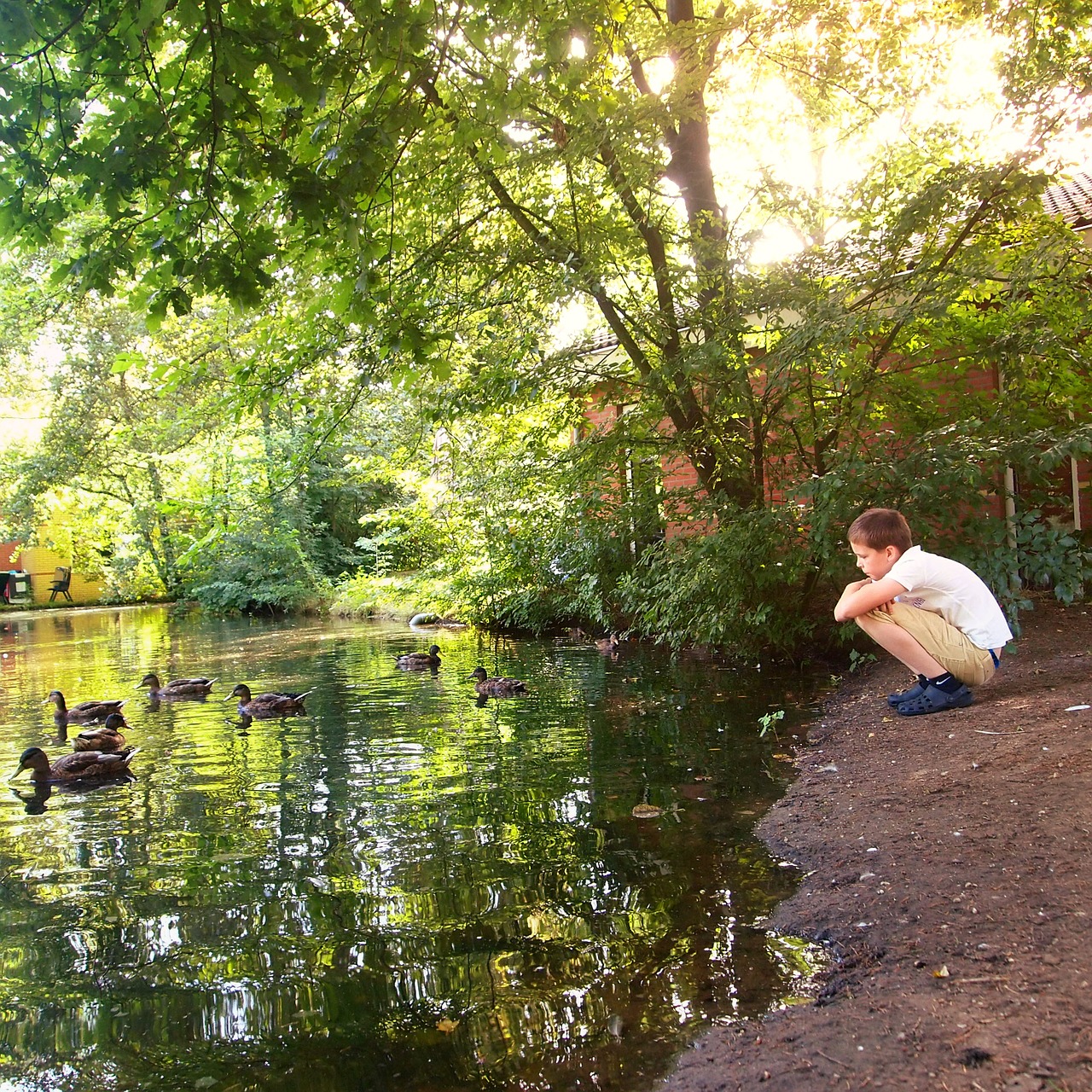 boy crouch sit free photo