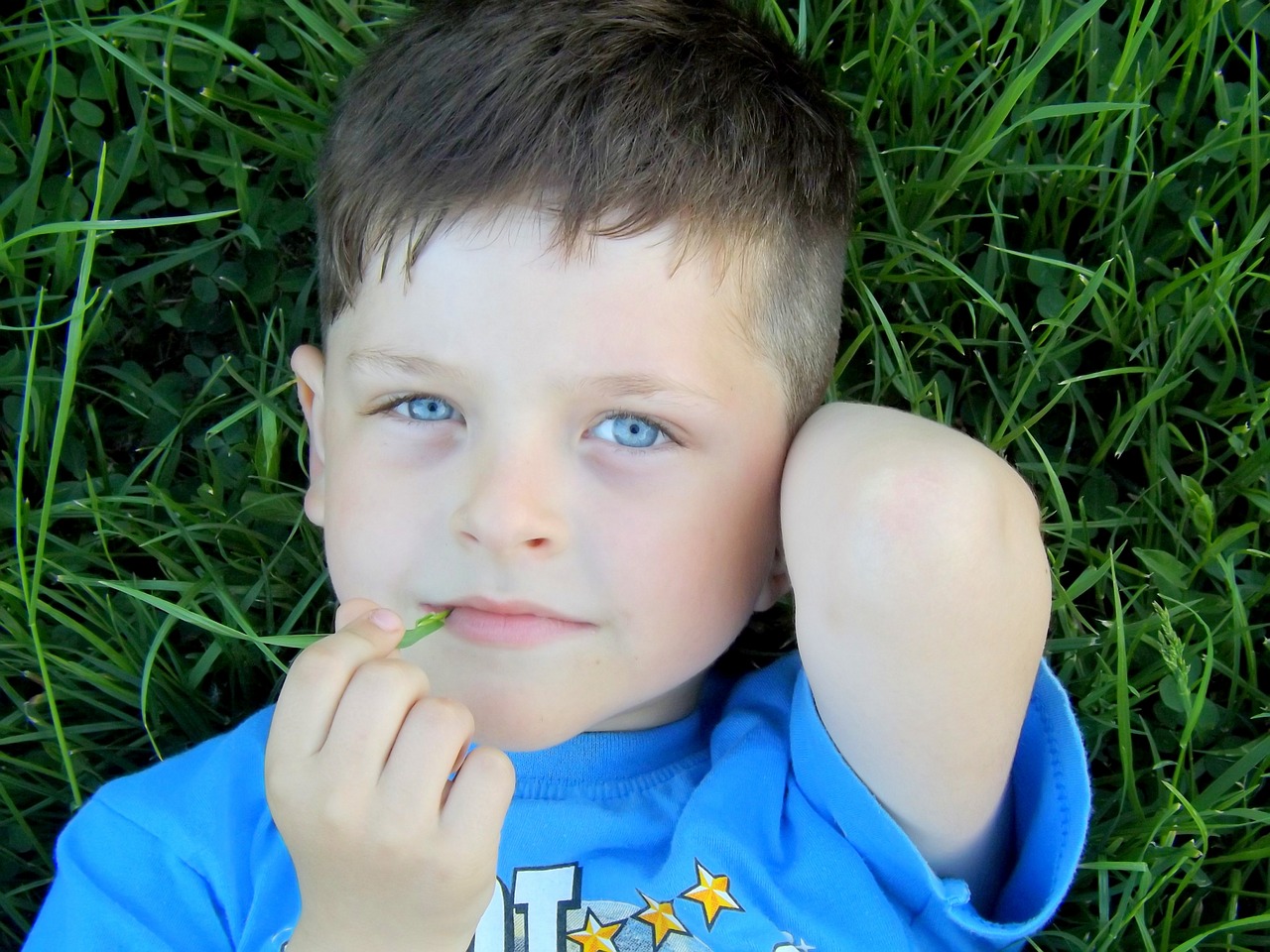 boy portrait blue free photo