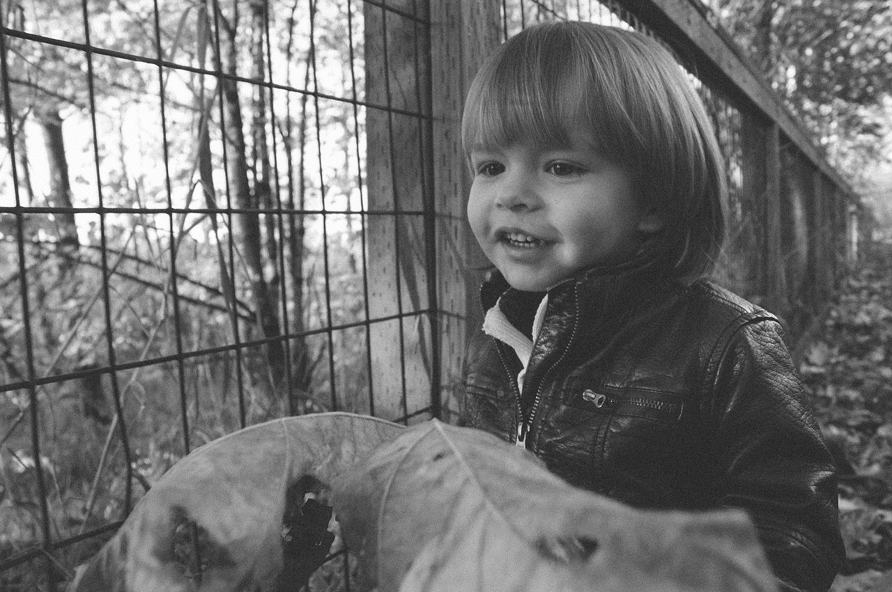 boy toddler child free photo
