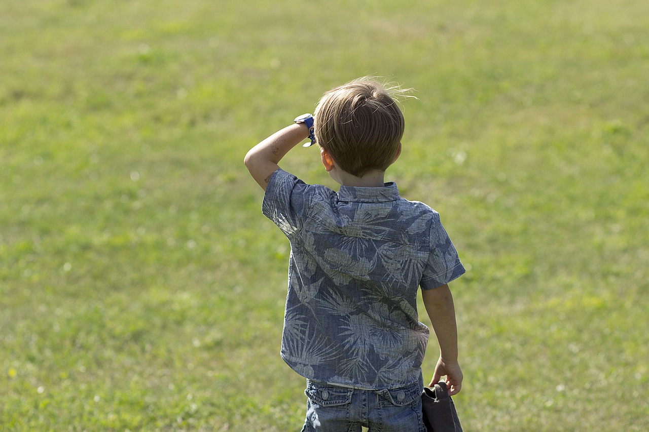 boy meadow looking free photo