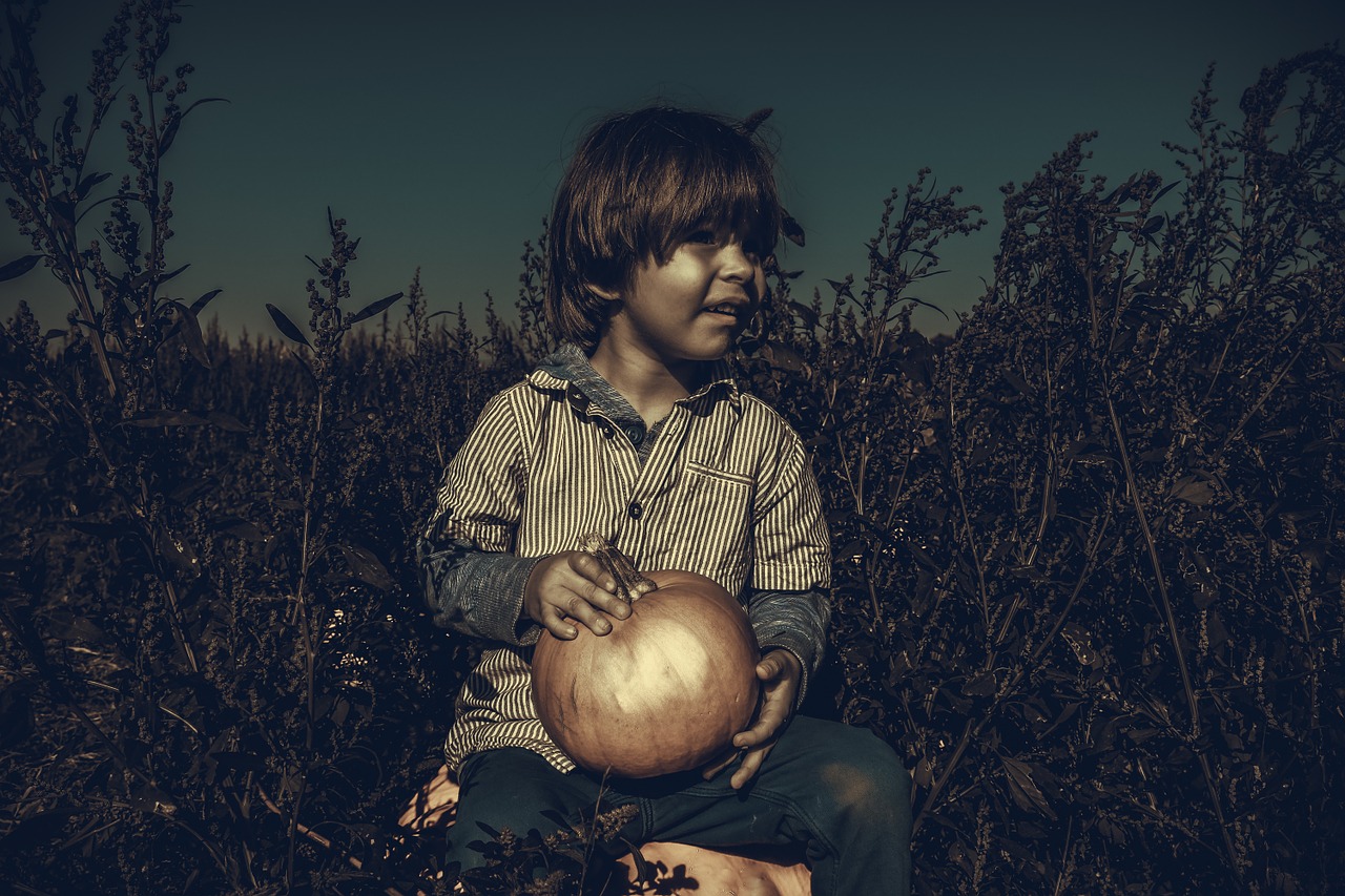 boy child pumpkin free photo
