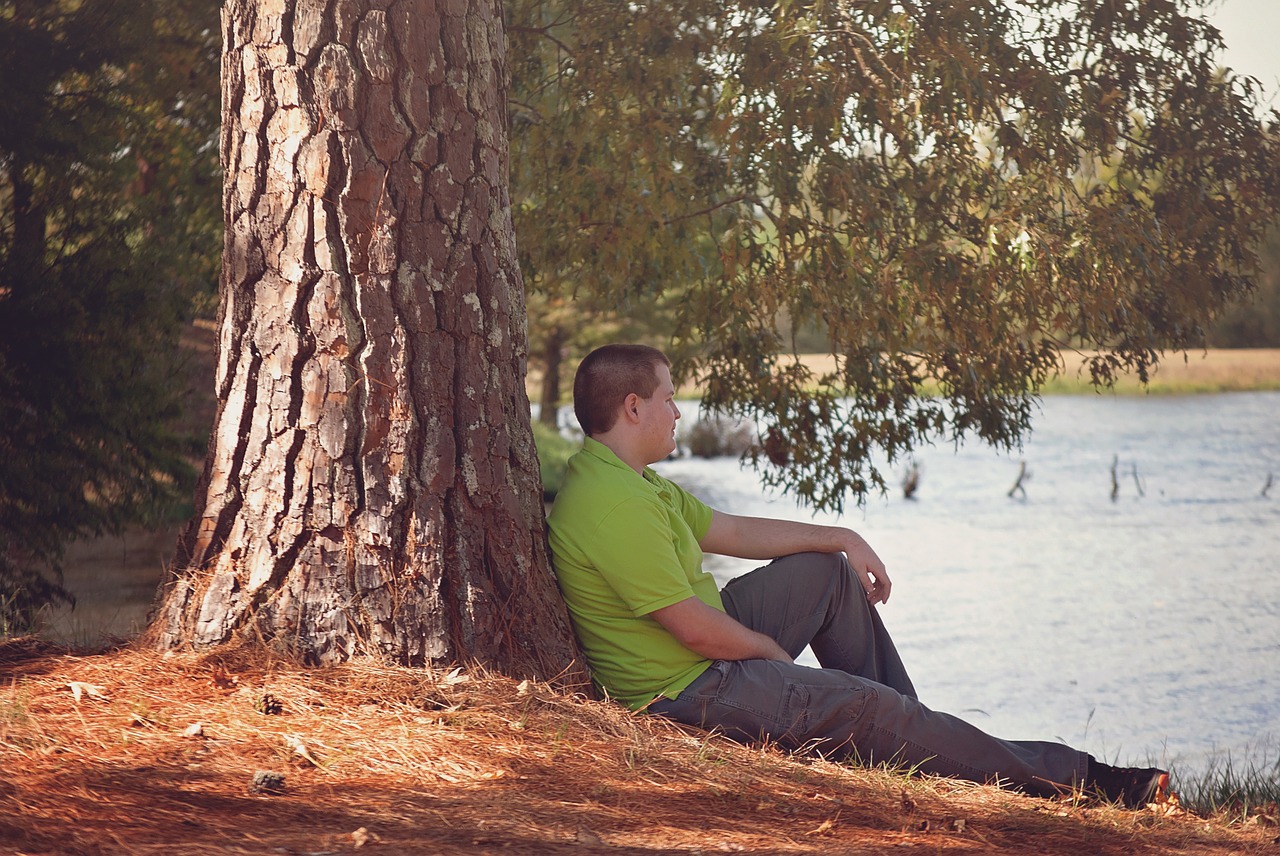 boy sitting tree free photo