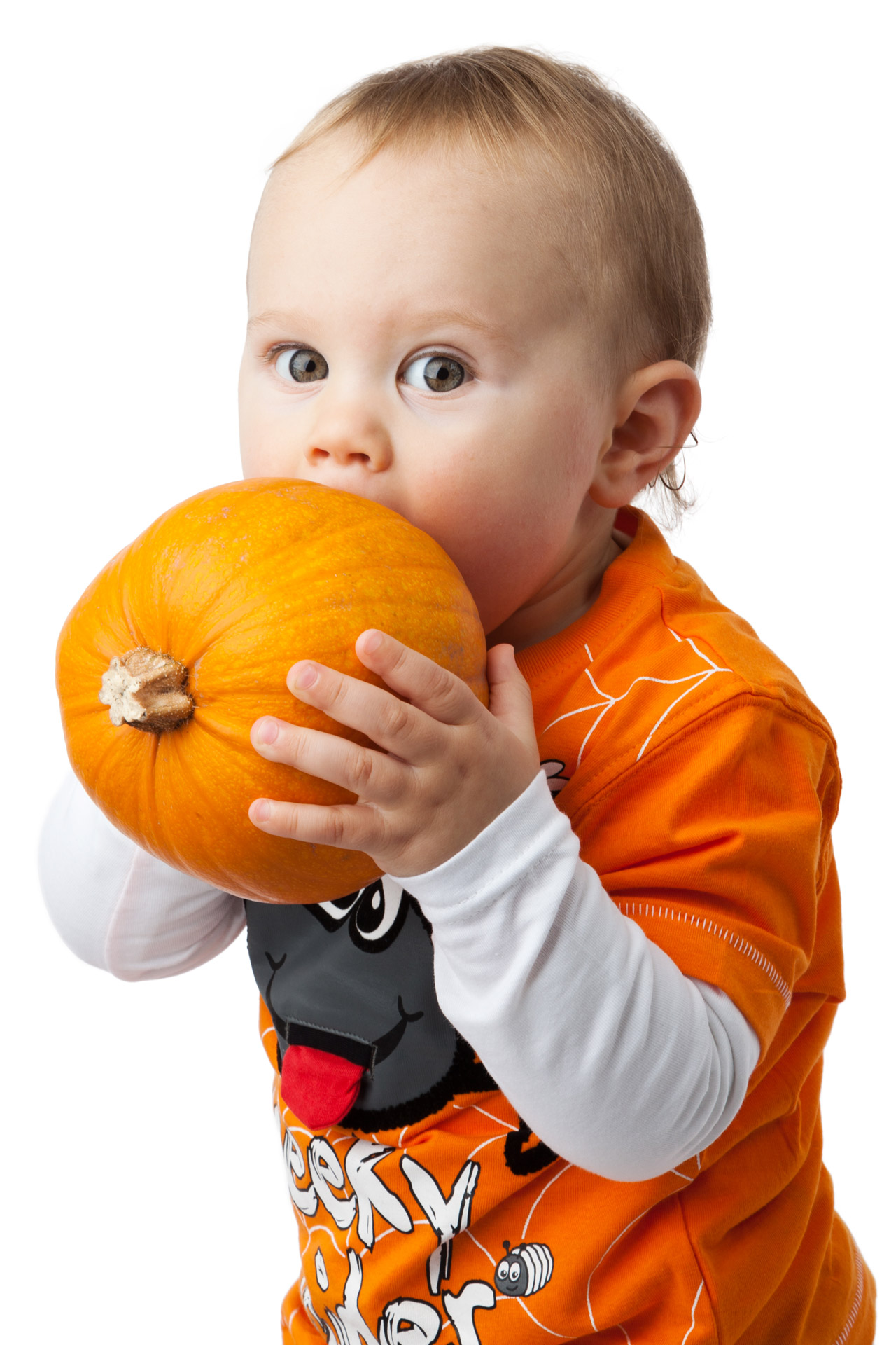 autumn baby boy free photo