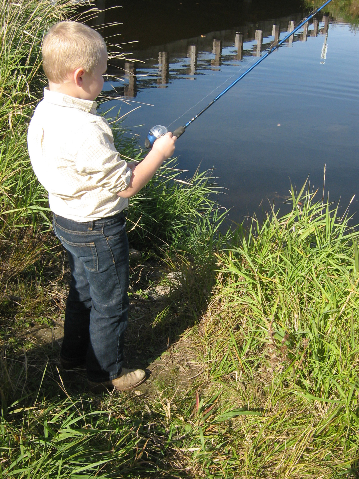 boy child fishing free photo