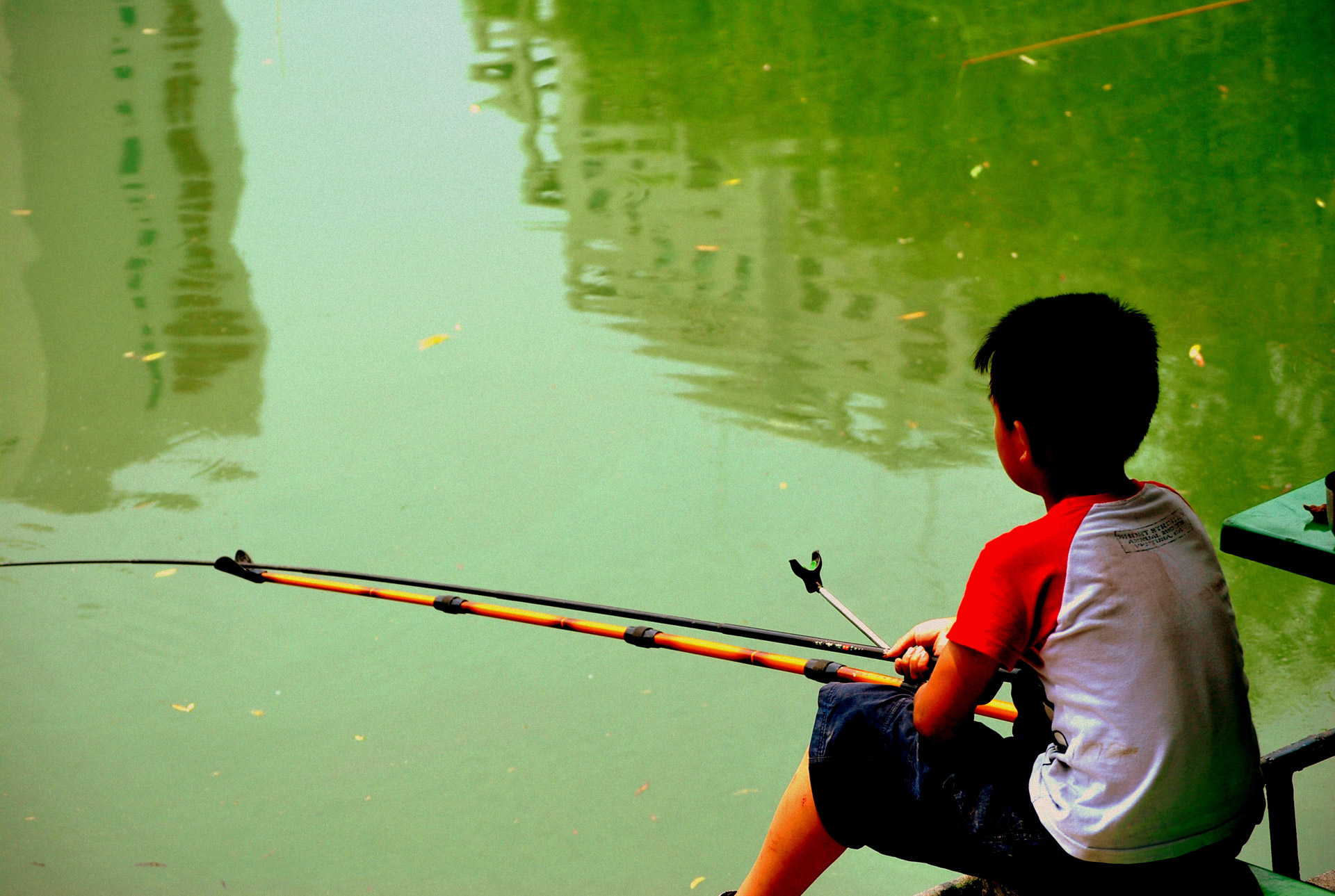 boy people fish free photo