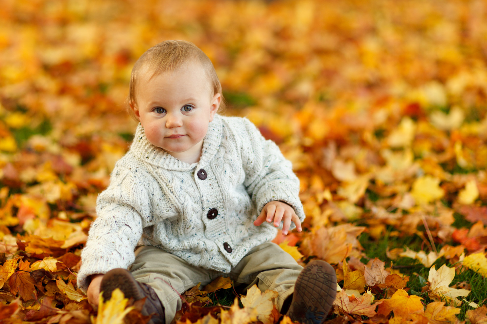 autumn fall baby boy free photo