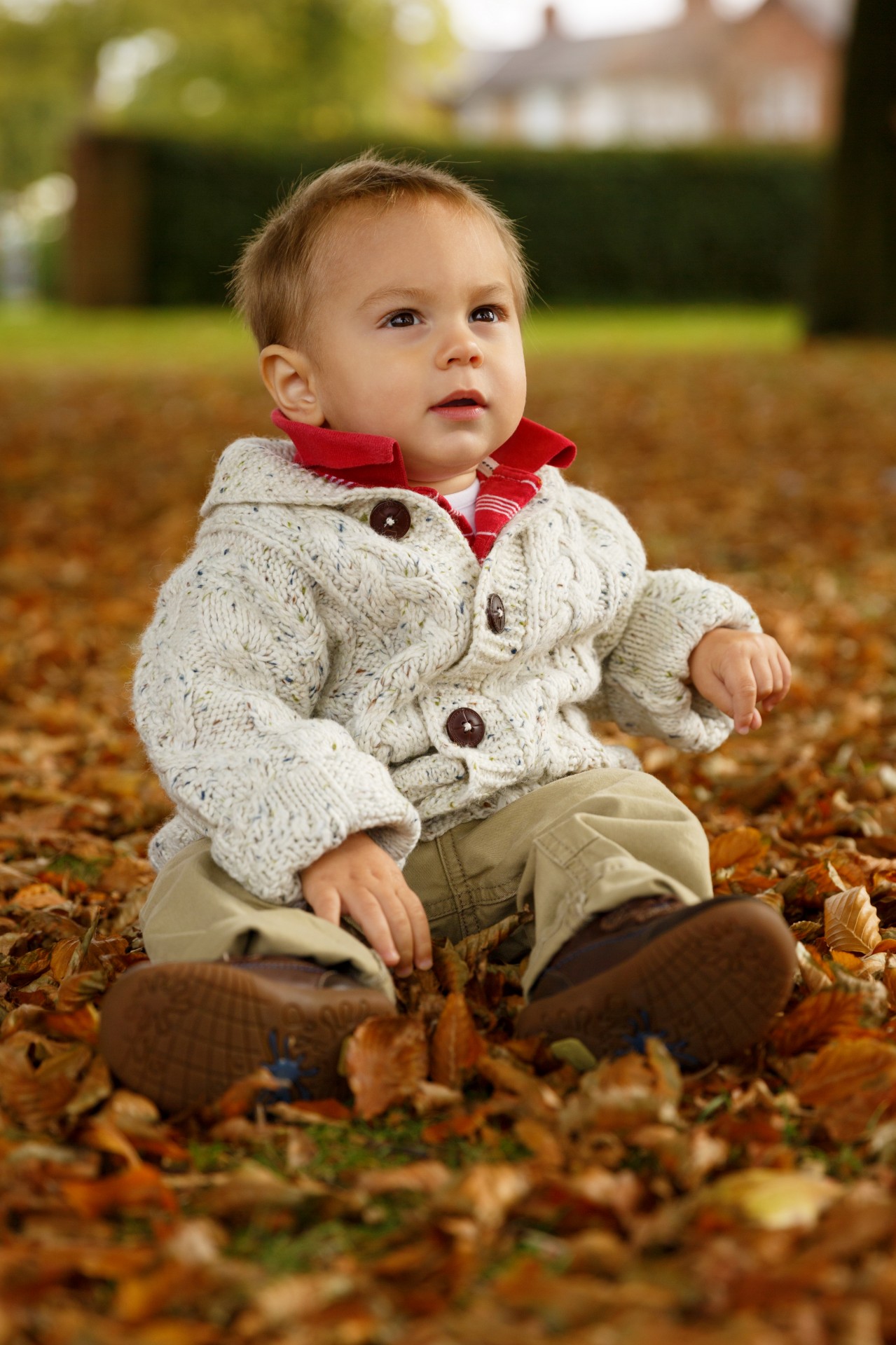 boy autumn park free photo