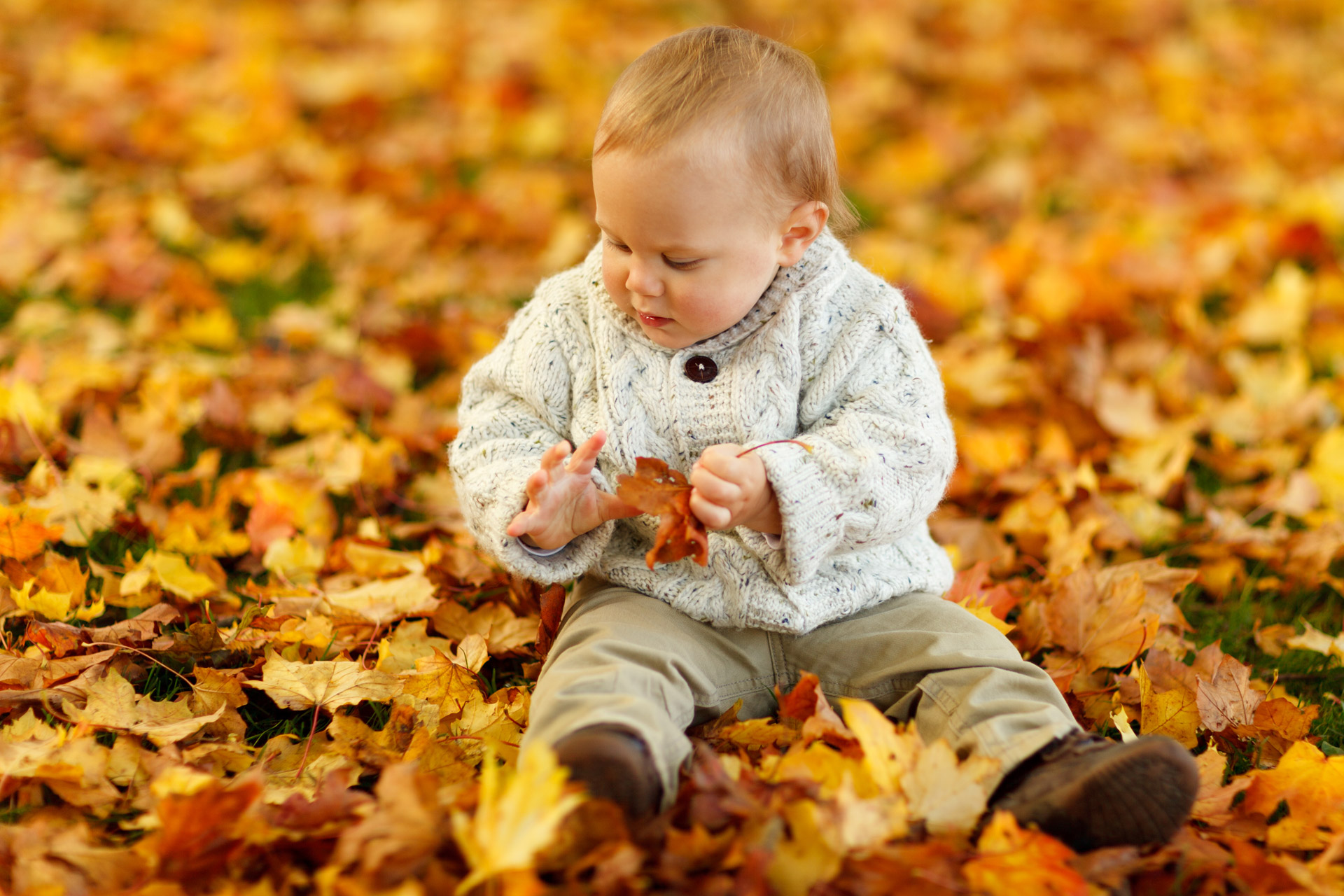 autumn fall baby boy free photo