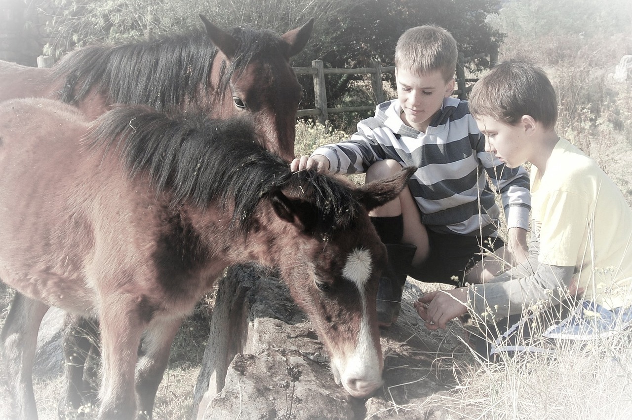 boys outside animal free photo