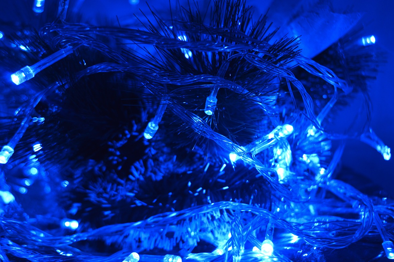 brad lights christmas free photo