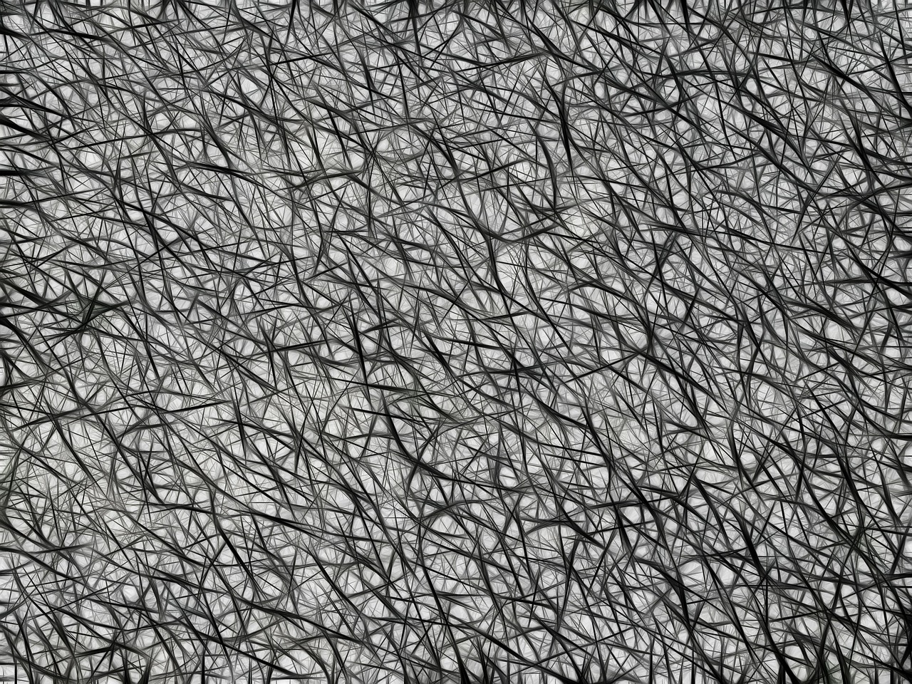 braid network texture free photo