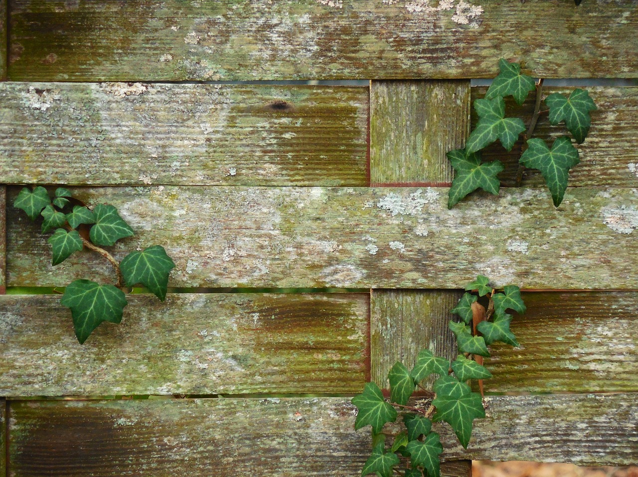 braided fence background texture free photo