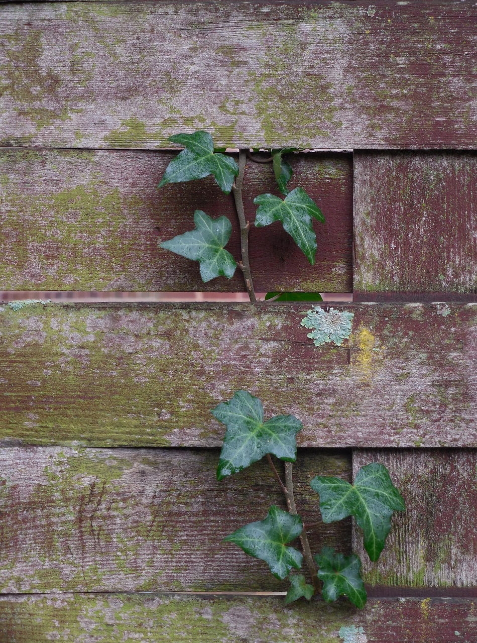 braided fence background texture free photo