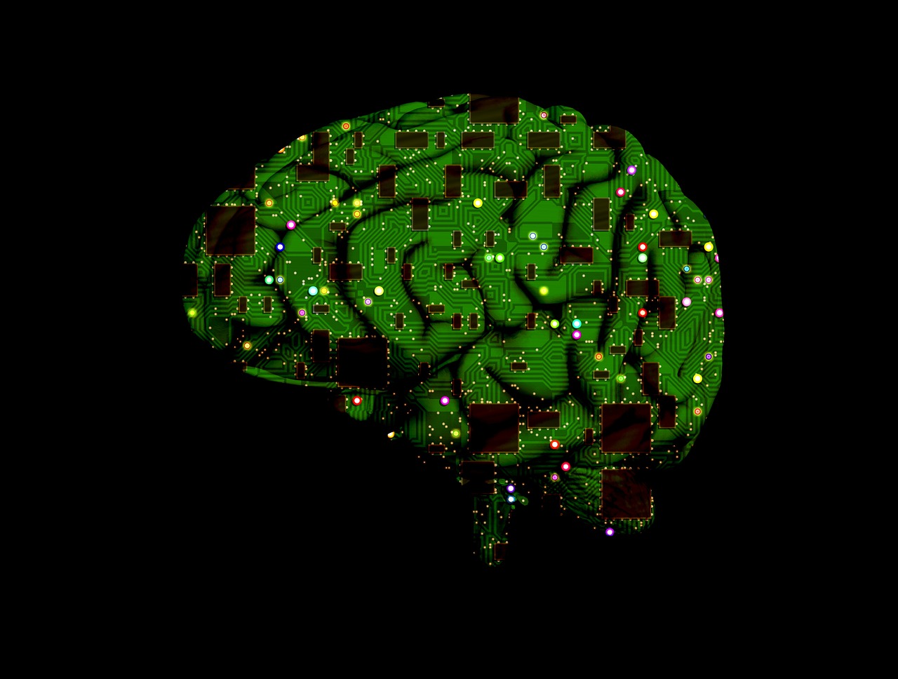 brain circuit intelligence free photo