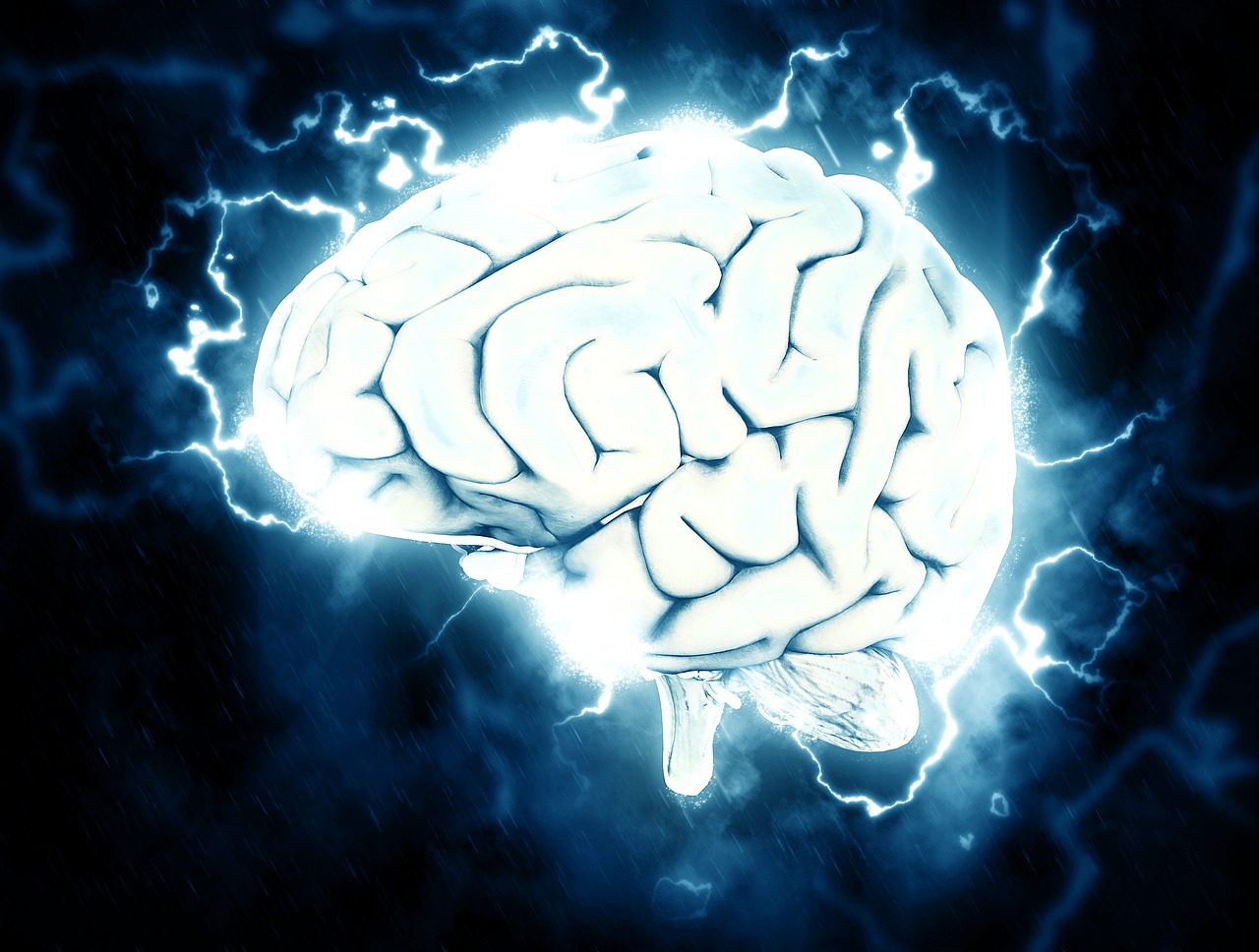 brain electrical knowledge free photo