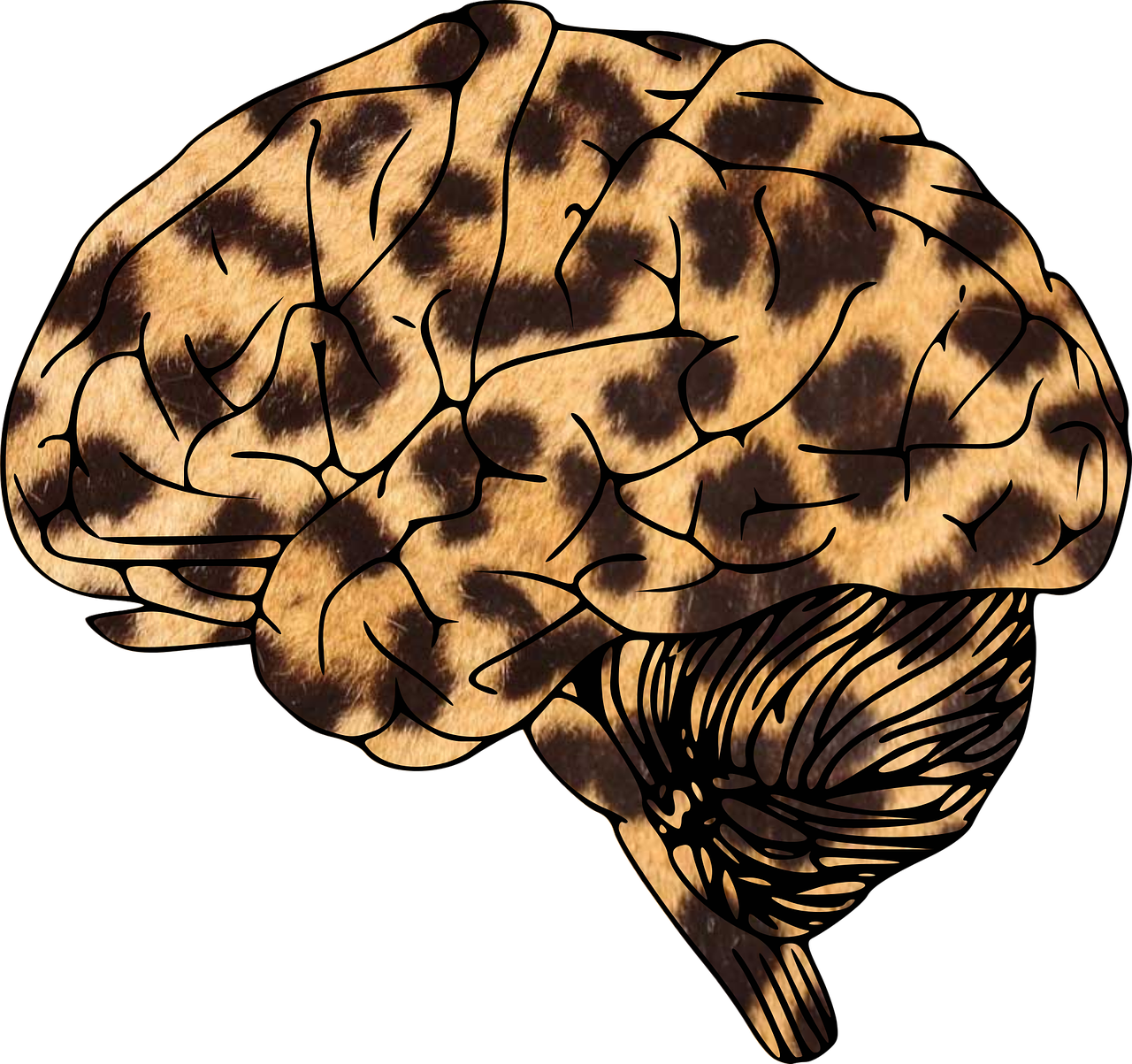 brain leopard animal-print free photo
