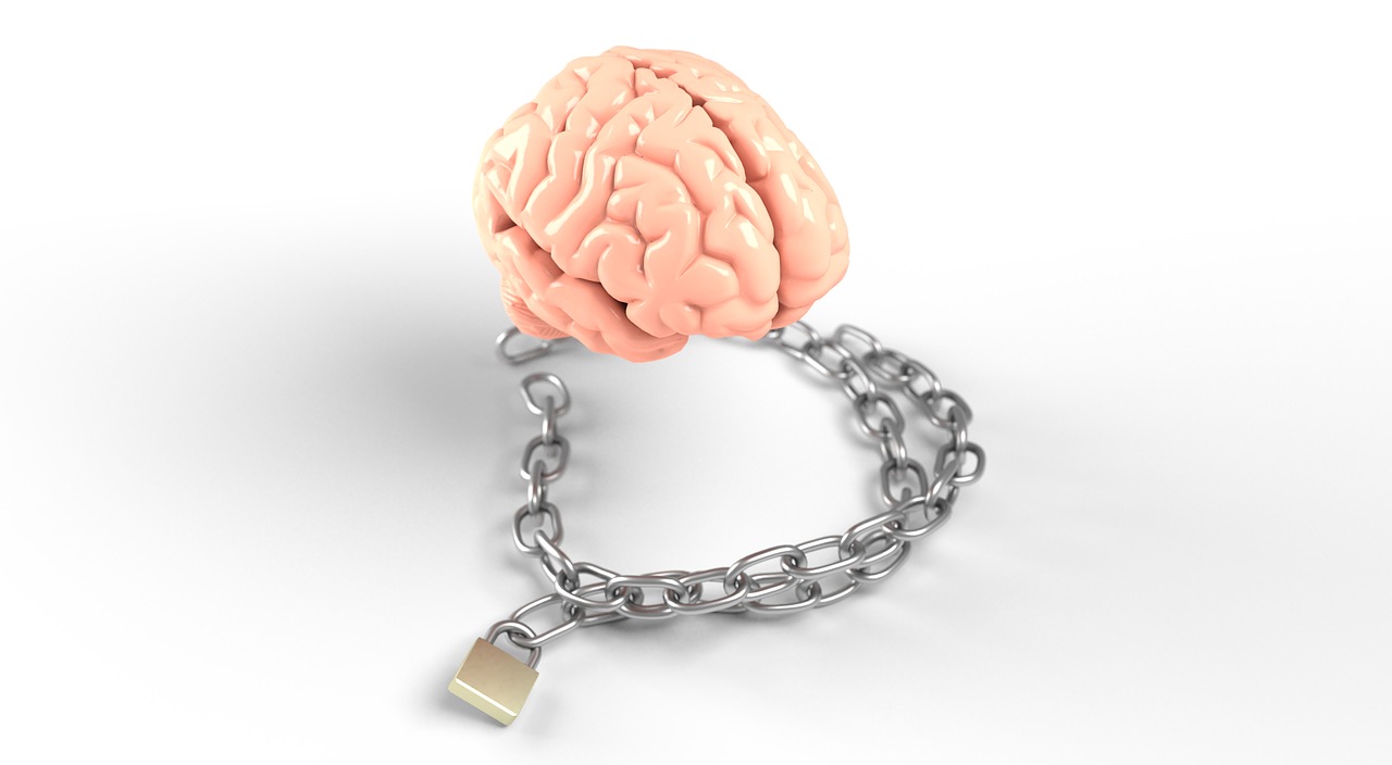 brain  chain  health free photo