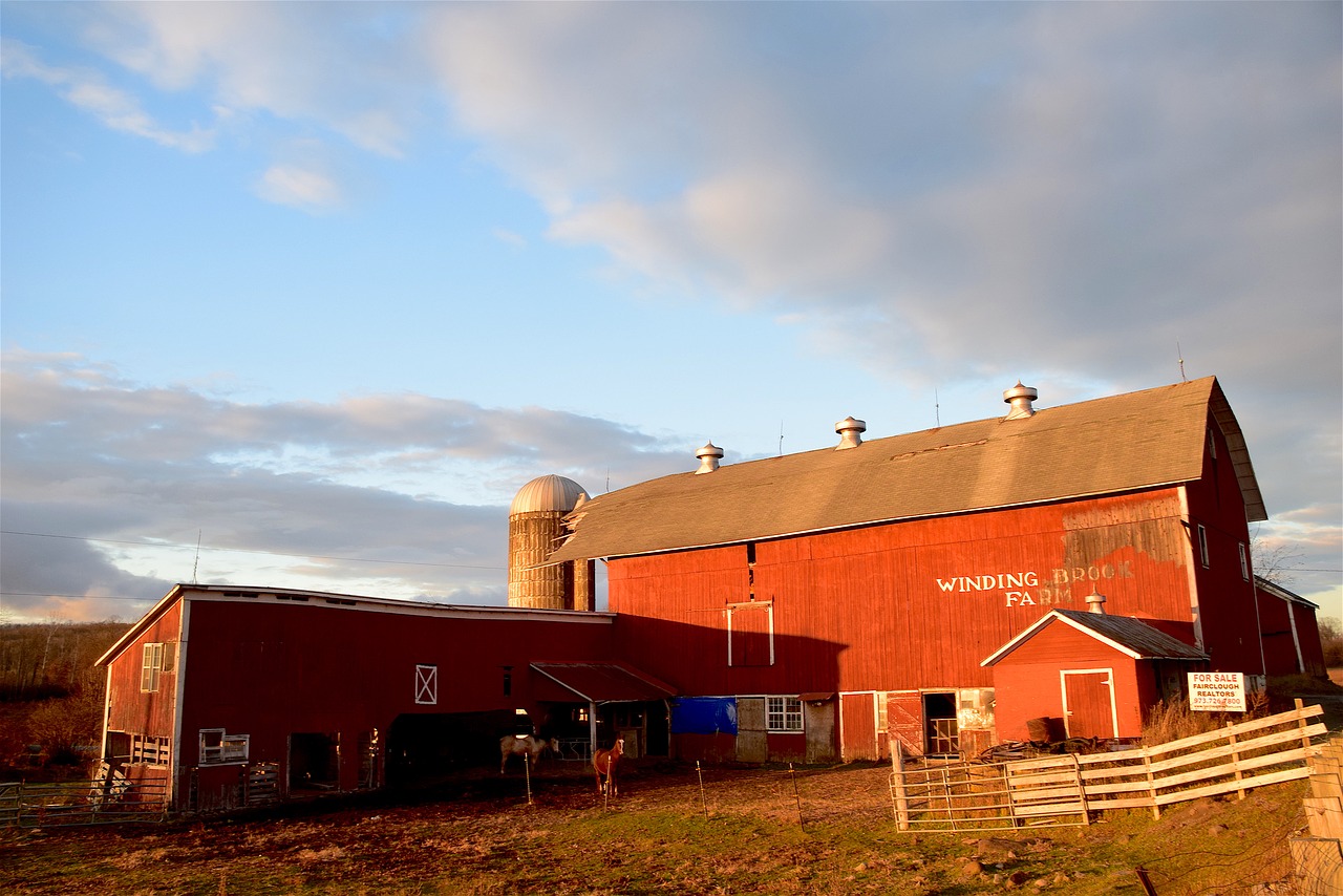 bran rural farm free photo