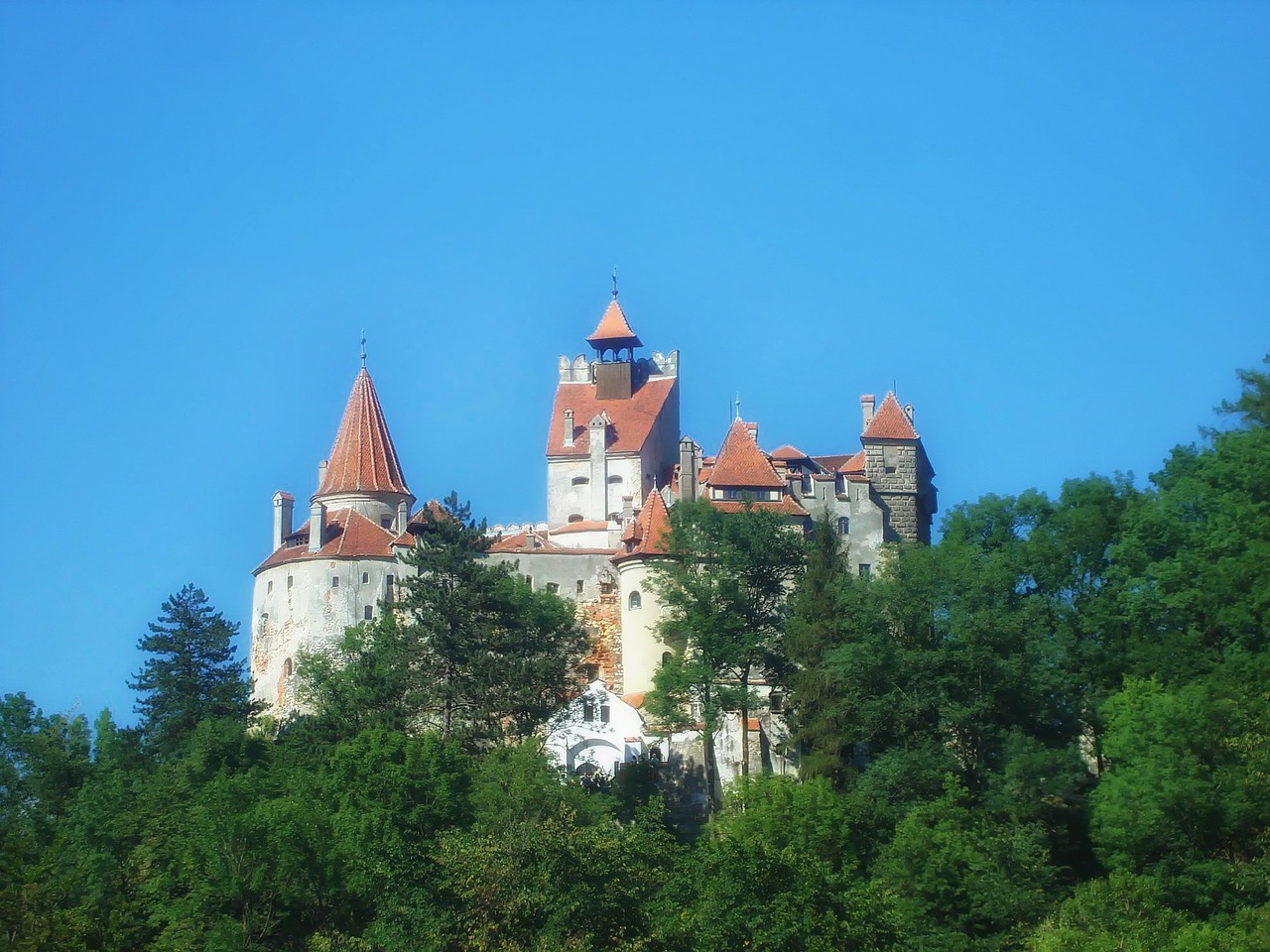 bran castle romania trees free photo