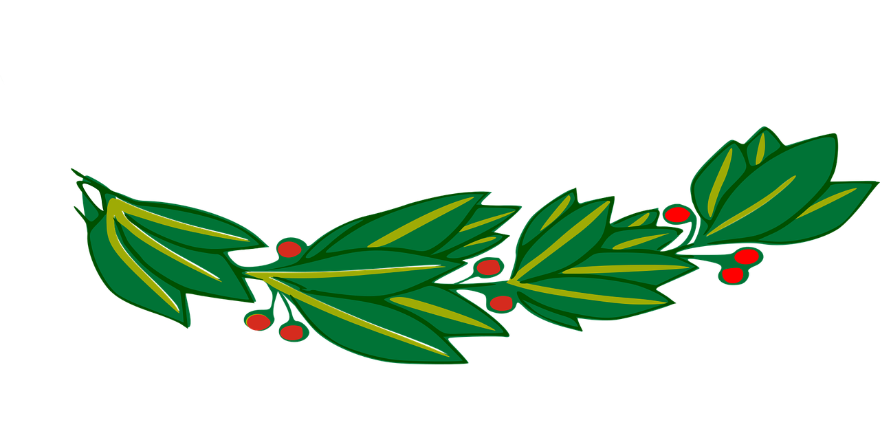branch laurel leaf free photo
