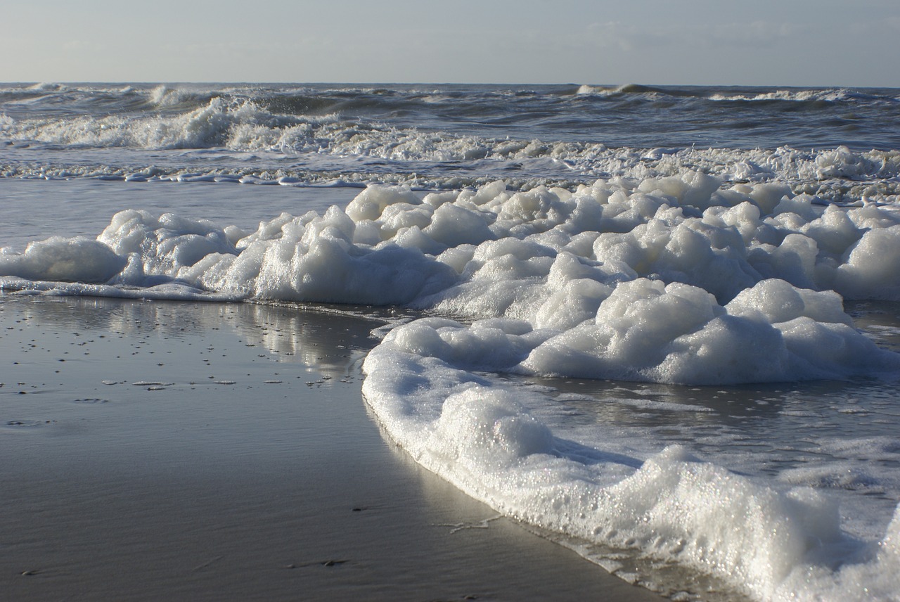 beach coast sea free photo