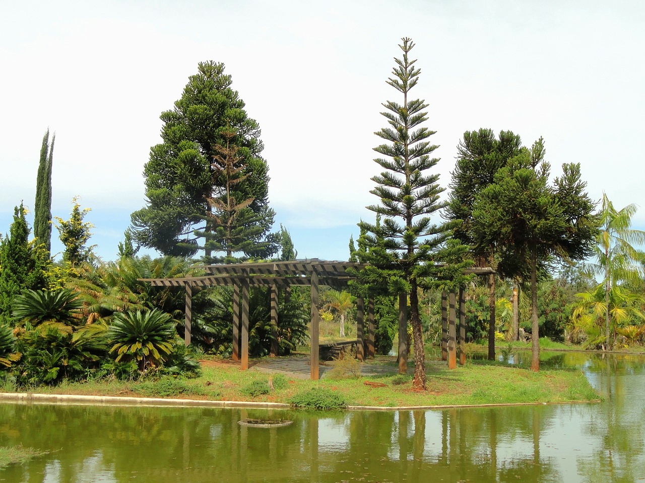 brasilia brazil botanical garden free photo