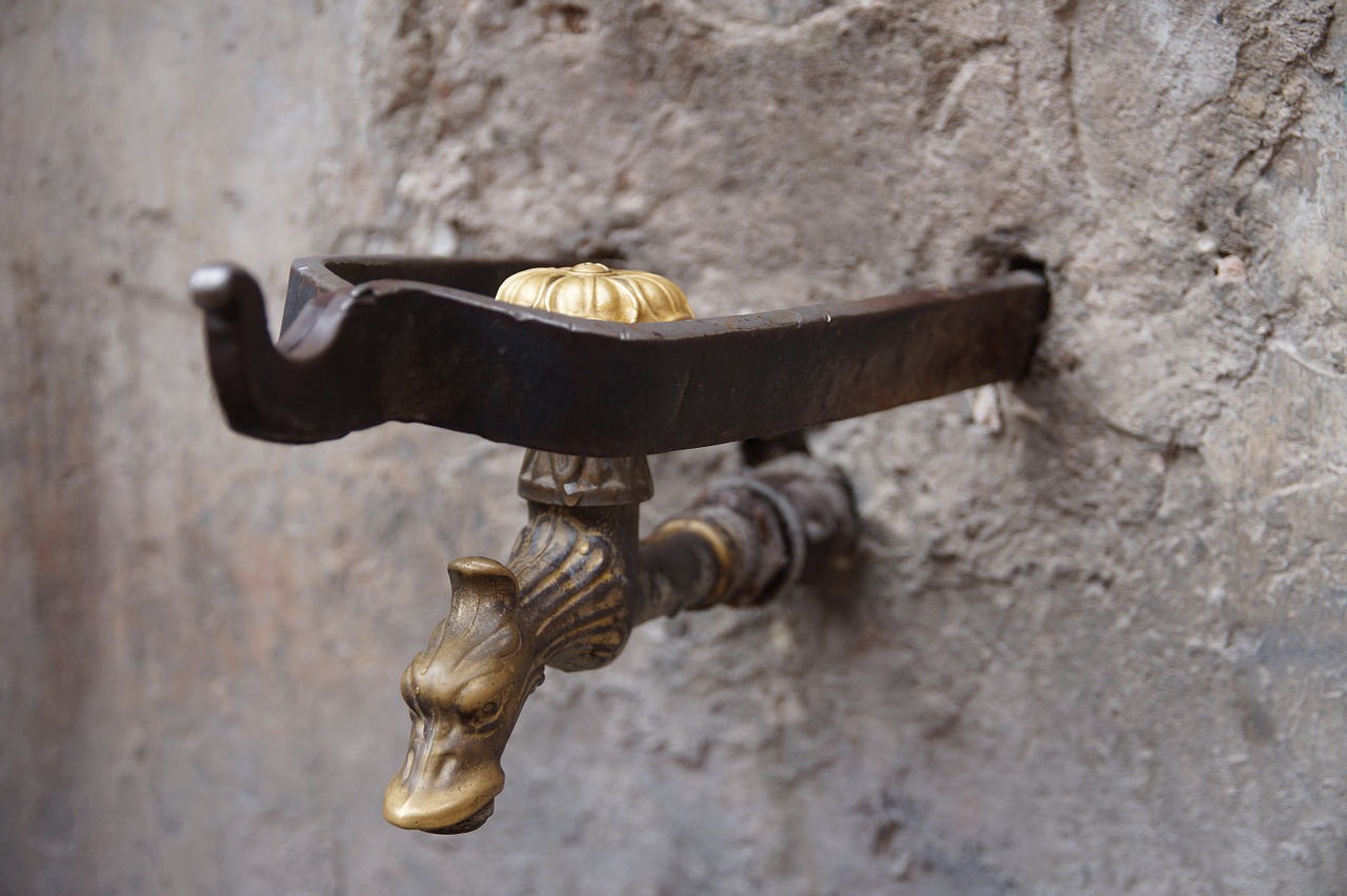 brass faucet duck free photo